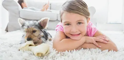 Teppichreinigung Darmstadt – Professionell & zuverlässig