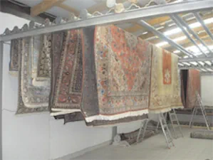 Teppichreinigung Darmstadt – Professionell & zuverlässig