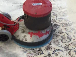 Teppichreinigung Darmstadt – Professionell & zuverlässig